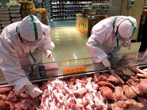 强化防控意识 压实主体责任——市场监督管理局召开进口冷链食品经营单位疫情防控工作培训会